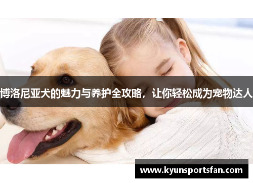博洛尼亚犬的魅力与养护全攻略，让你轻松成为宠物达人